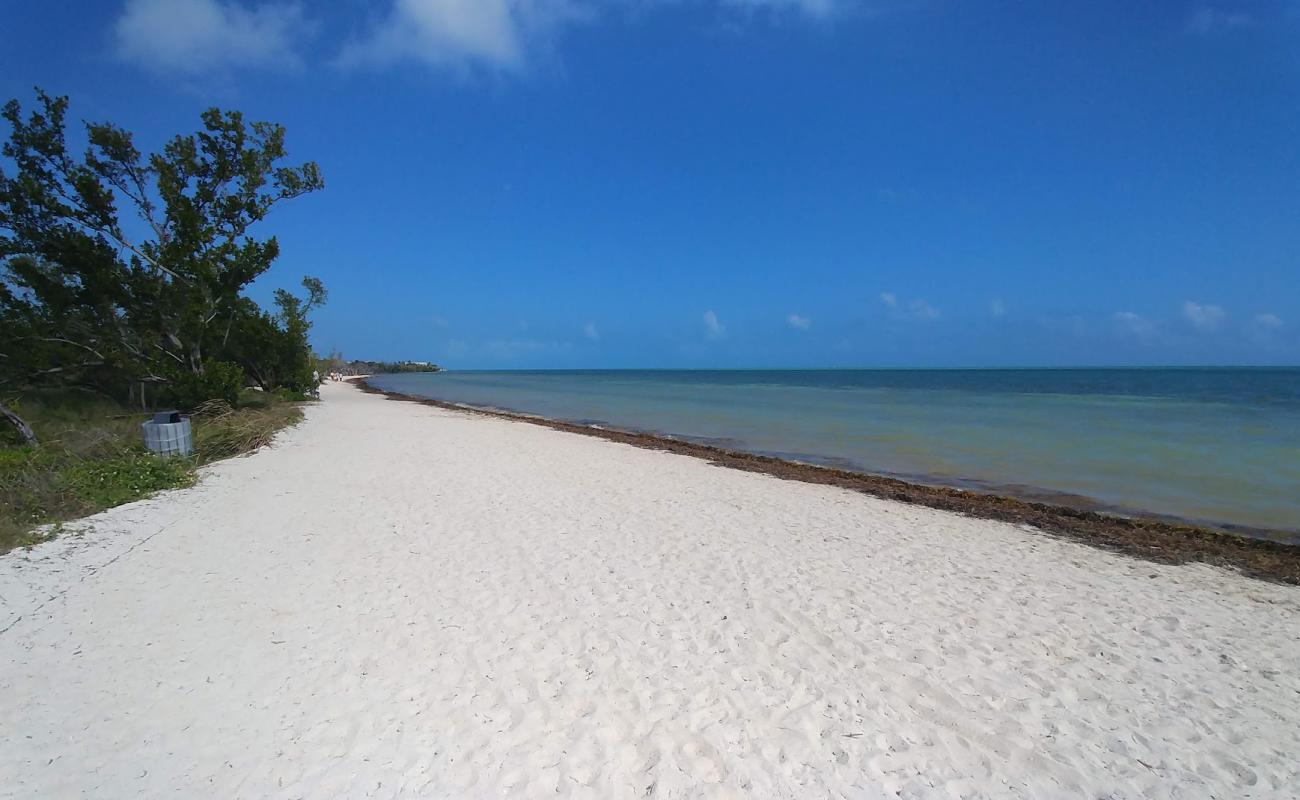 Cocoa Plum beach'in fotoğrafı parlak kum yüzey ile