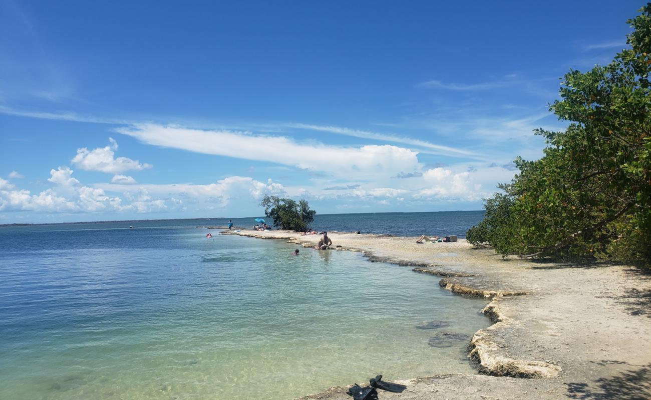 Horseshoe beach'in fotoğrafı taşlı kum yüzey ile