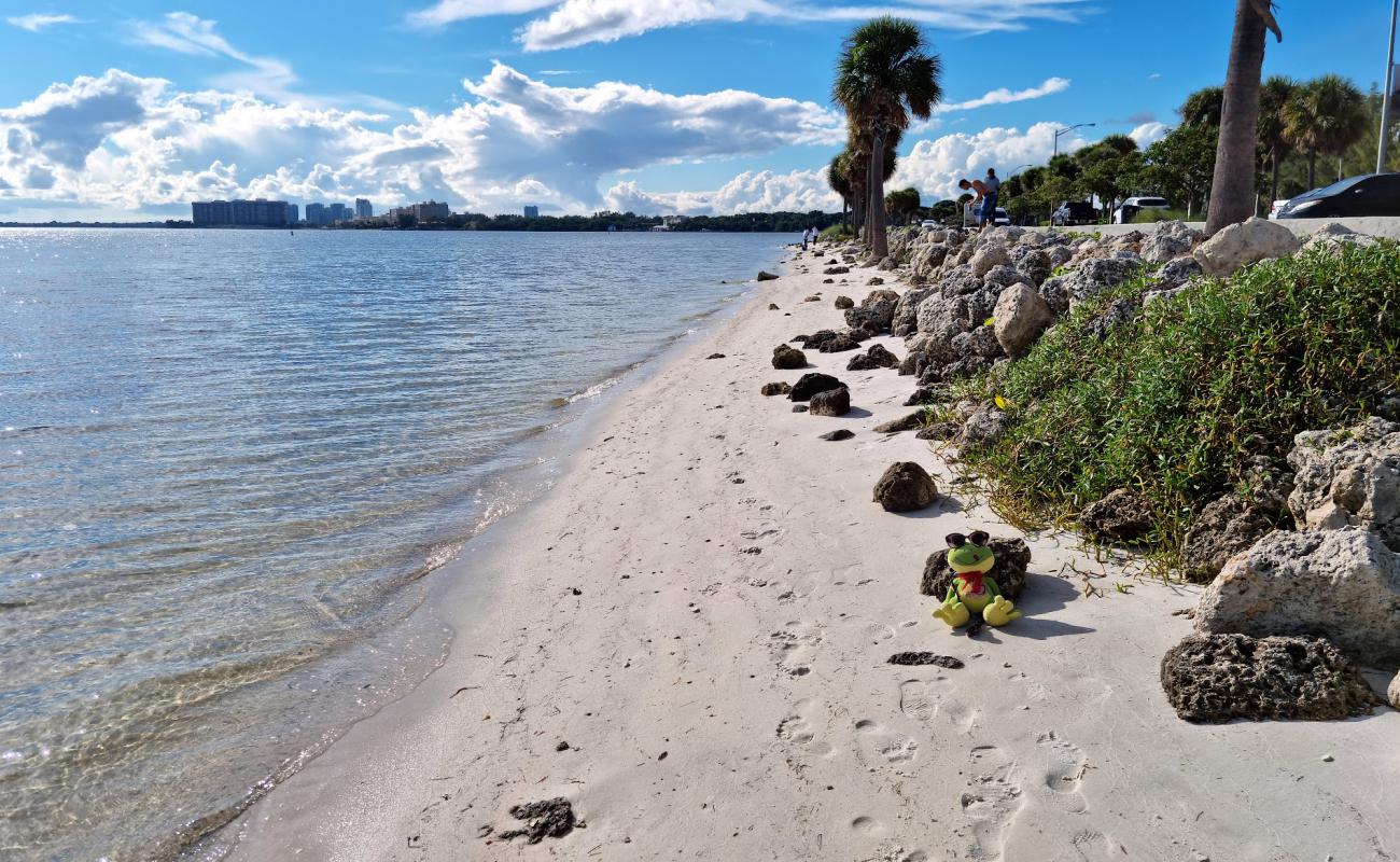 Hobie Island beach'in fotoğrafı parlak kum yüzey ile