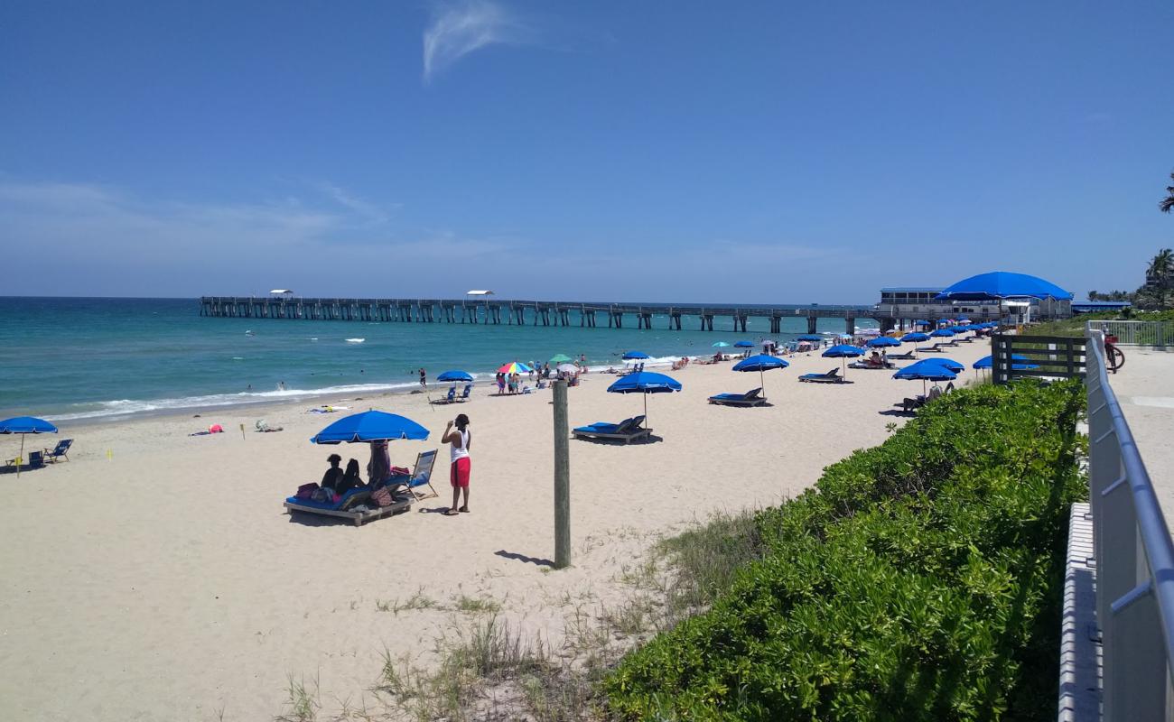 Lake Worth beach Park'in fotoğrafı açık bej kum yüzey ile