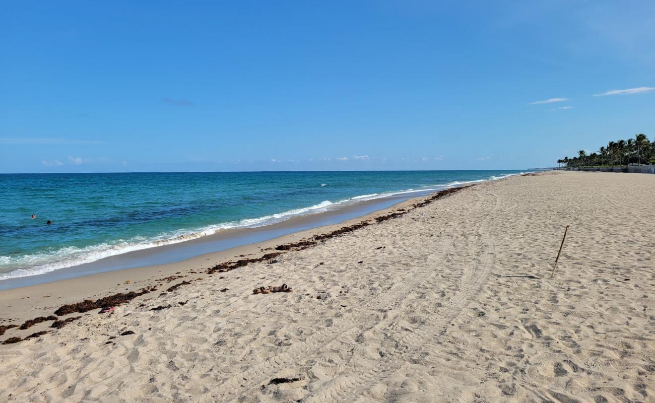 Palm Island beach'in fotoğrafı açık bej kum yüzey ile