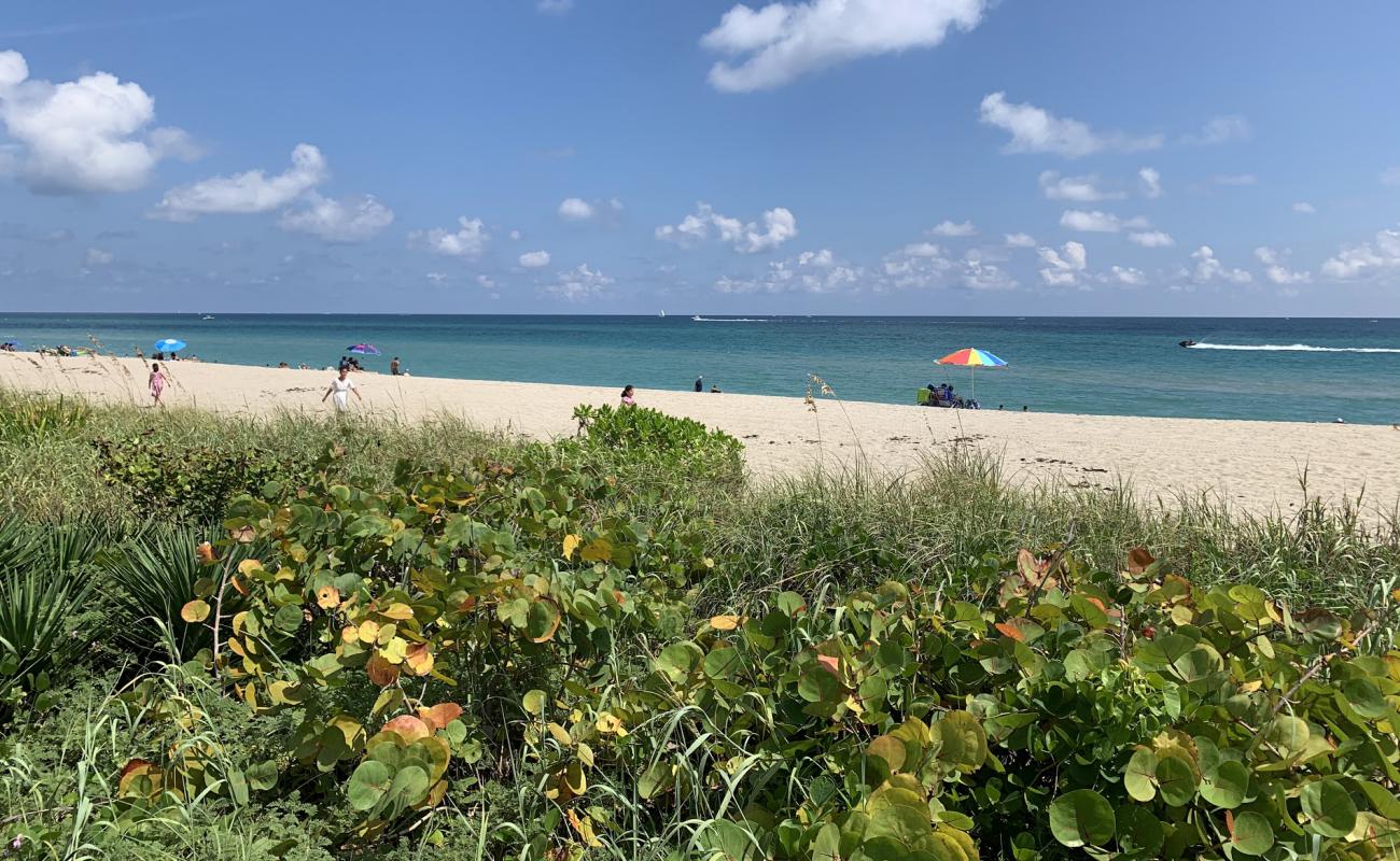 Palm Island beach II'in fotoğrafı açık bej kum yüzey ile
