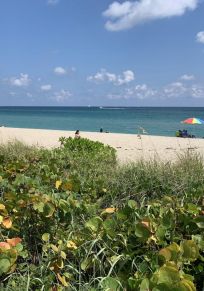 Palm Beach