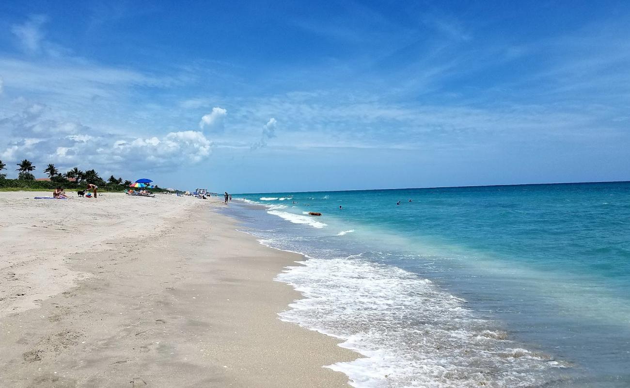 Jupiter Dog beach'in fotoğrafı açık bej kum yüzey ile