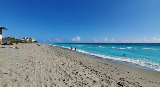 Lazy Loggerhead beach