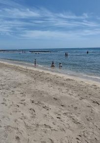 Seminole Shores