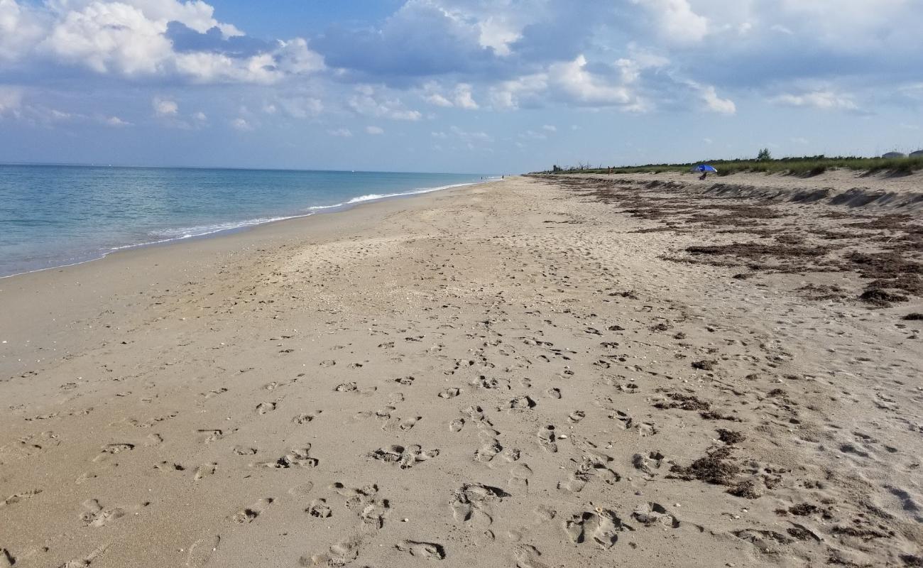 Blind Creek beach'in fotoğrafı açık bej kum yüzey ile
