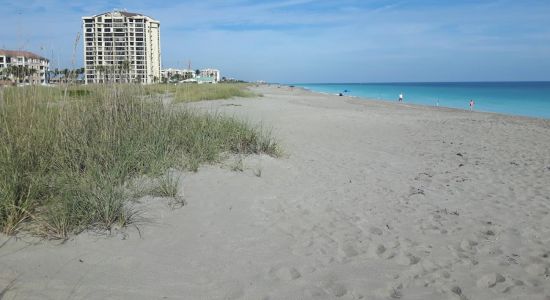 Blue Heron beach