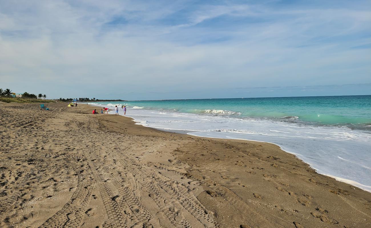 Porpoise beach'in fotoğrafı bej kabuklu kum yüzey ile