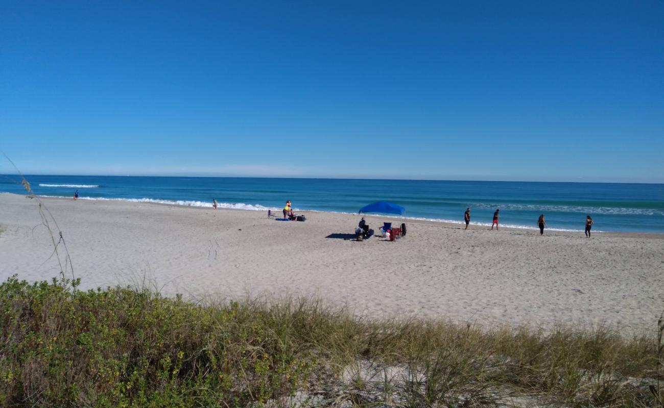 Ocean Ave beach'in fotoğrafı parlak kum yüzey ile