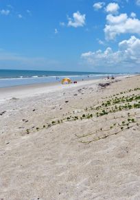 South Cocoa Beach