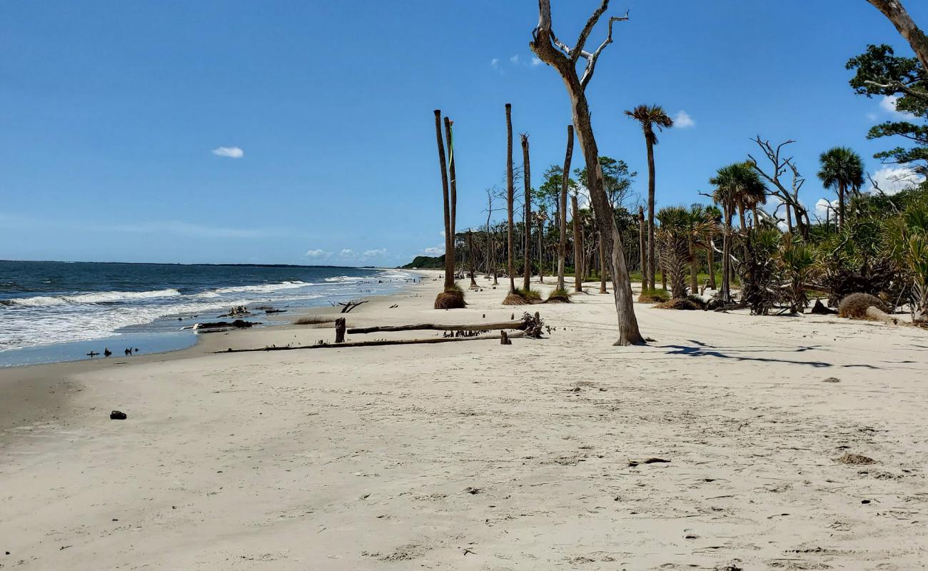 Daufuskie Island'in fotoğrafı parlak kum yüzey ile