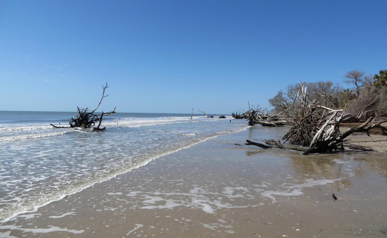 Driftwood beach'in fotoğrafı gri kum yüzey ile