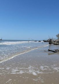 Edisto Island
