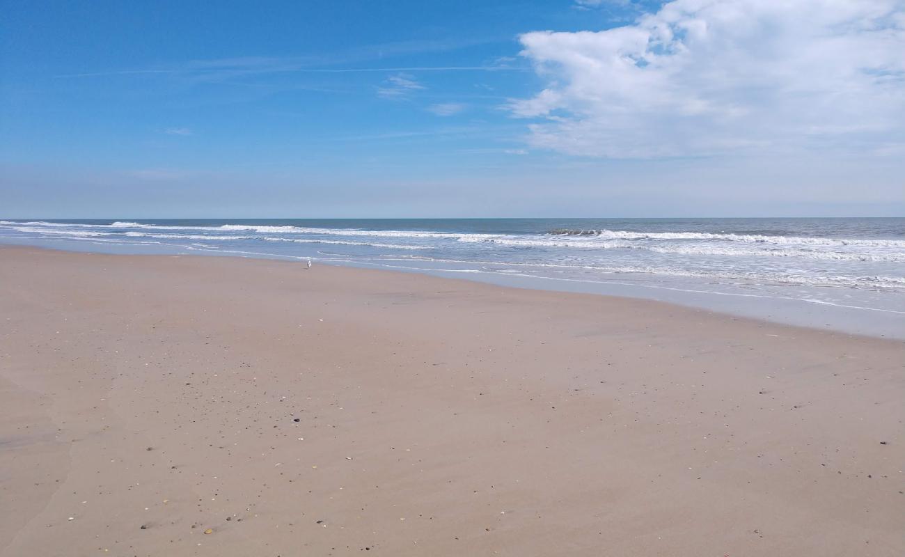 Sea Haven beach'in fotoğrafı parlak kum yüzey ile