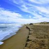 Cape Hatteras beach