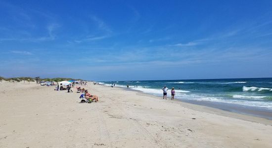 Coquina beach