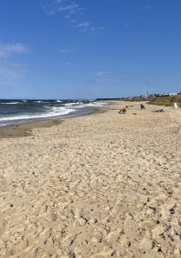 East Ocean View
