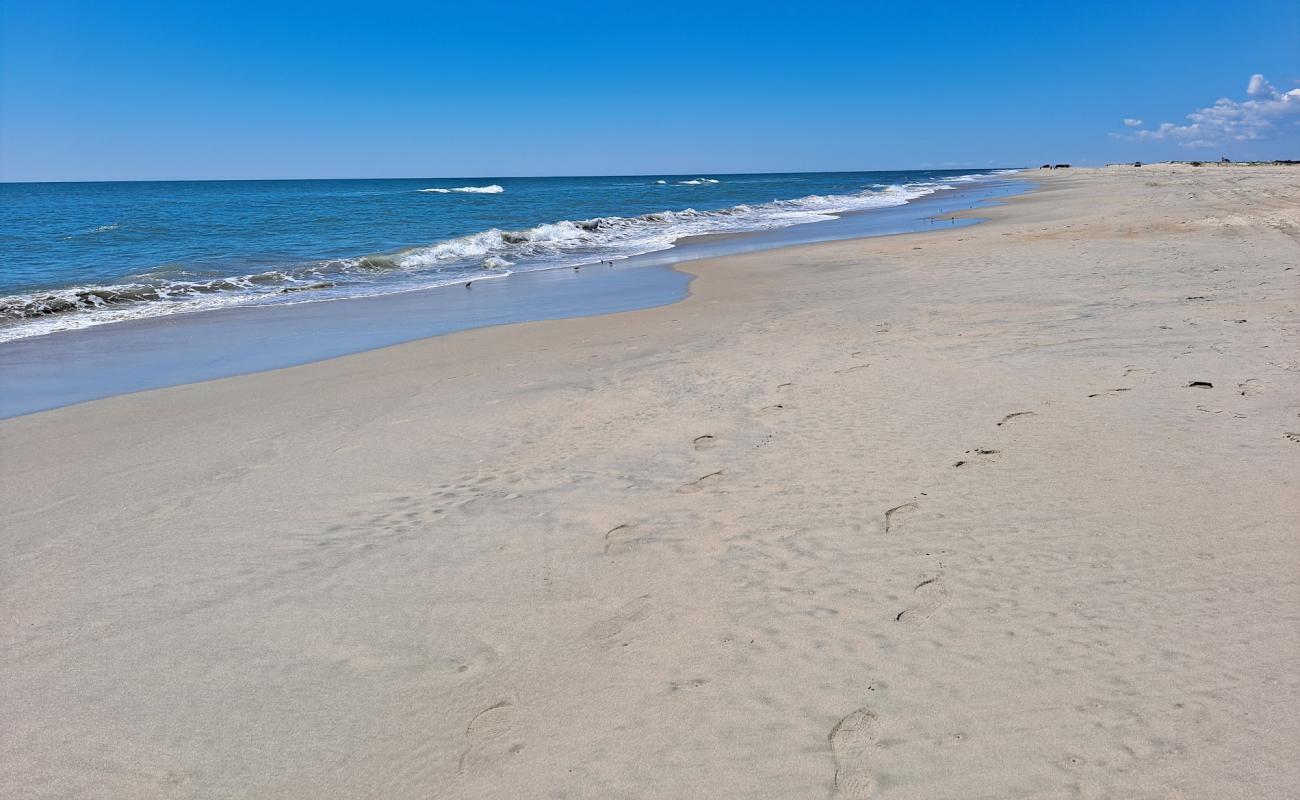 Assateague Plajı'in fotoğrafı parlak kum yüzey ile