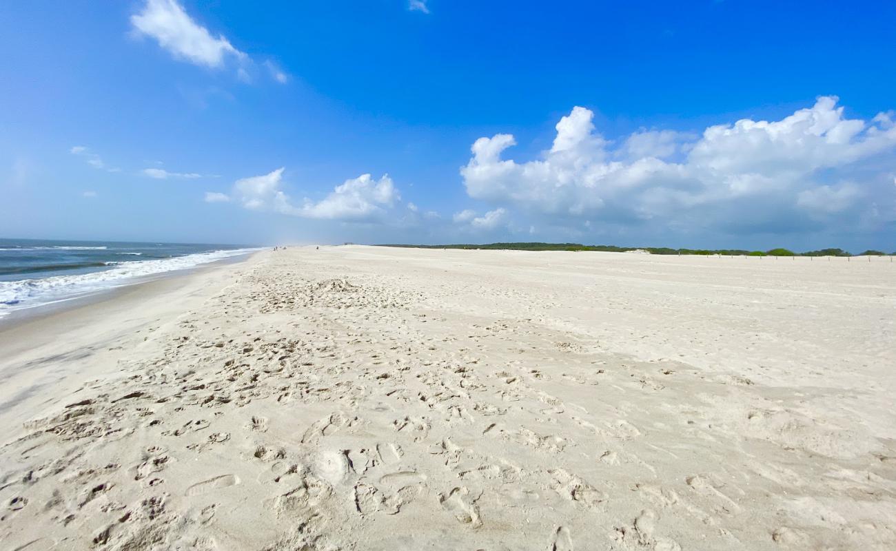 Assateague beach'in fotoğrafı açık bej kum yüzey ile