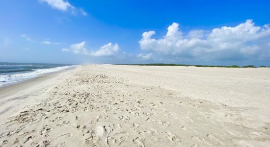 Assateague beach