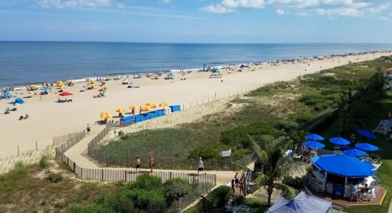 Ocean City beach II