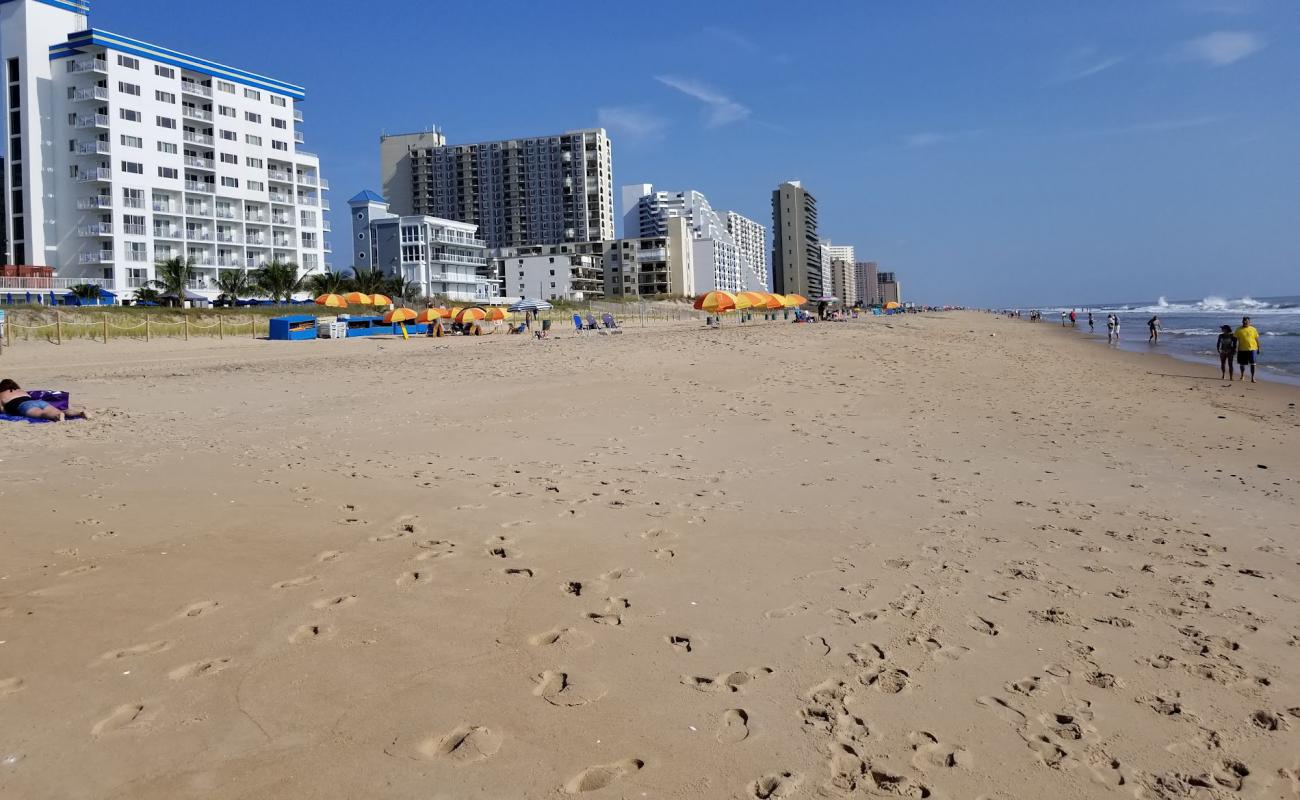 Maryland Beach'in fotoğrafı açık bej kum yüzey ile