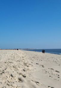 Cape May Point