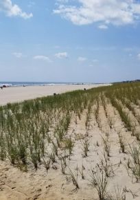 Long Beach Township
