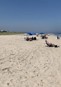 Harvey Cedars