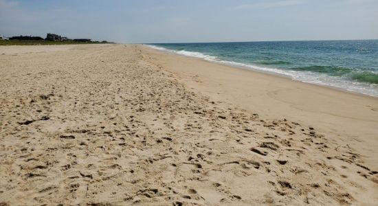 Ocean Road Beach