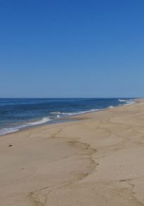 Montauk Beach
