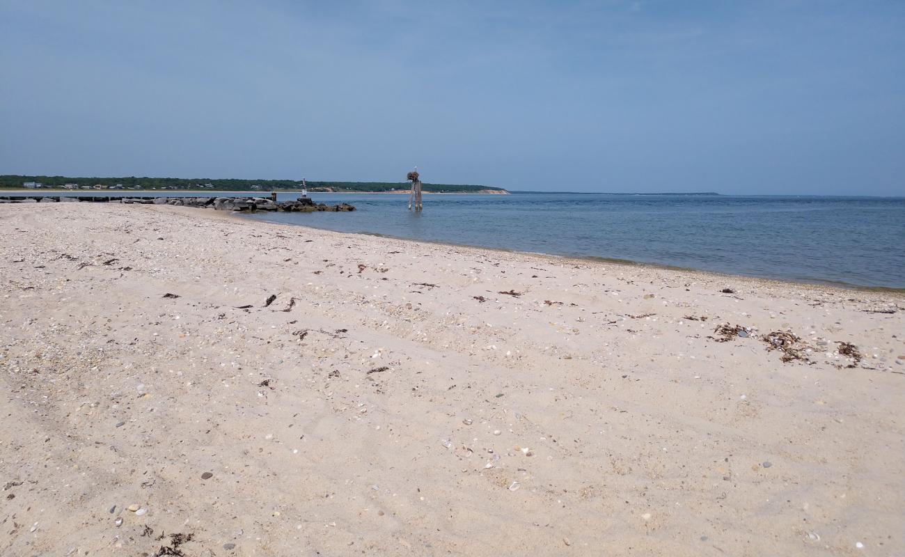 Maidstone Beach'in fotoğrafı parlak kum yüzey ile