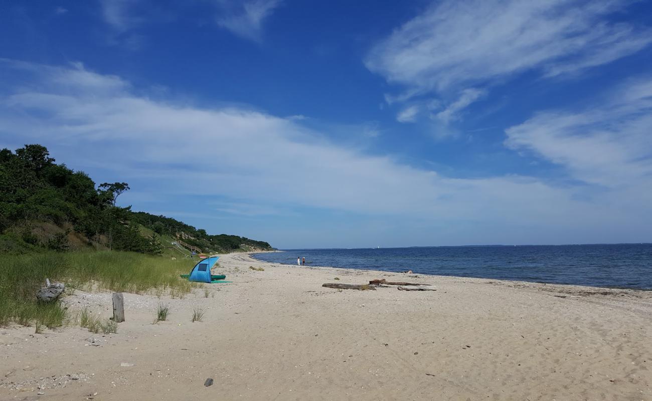 Sammys Beach'in fotoğrafı parlak kum yüzey ile