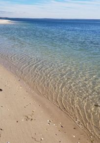 Peconic