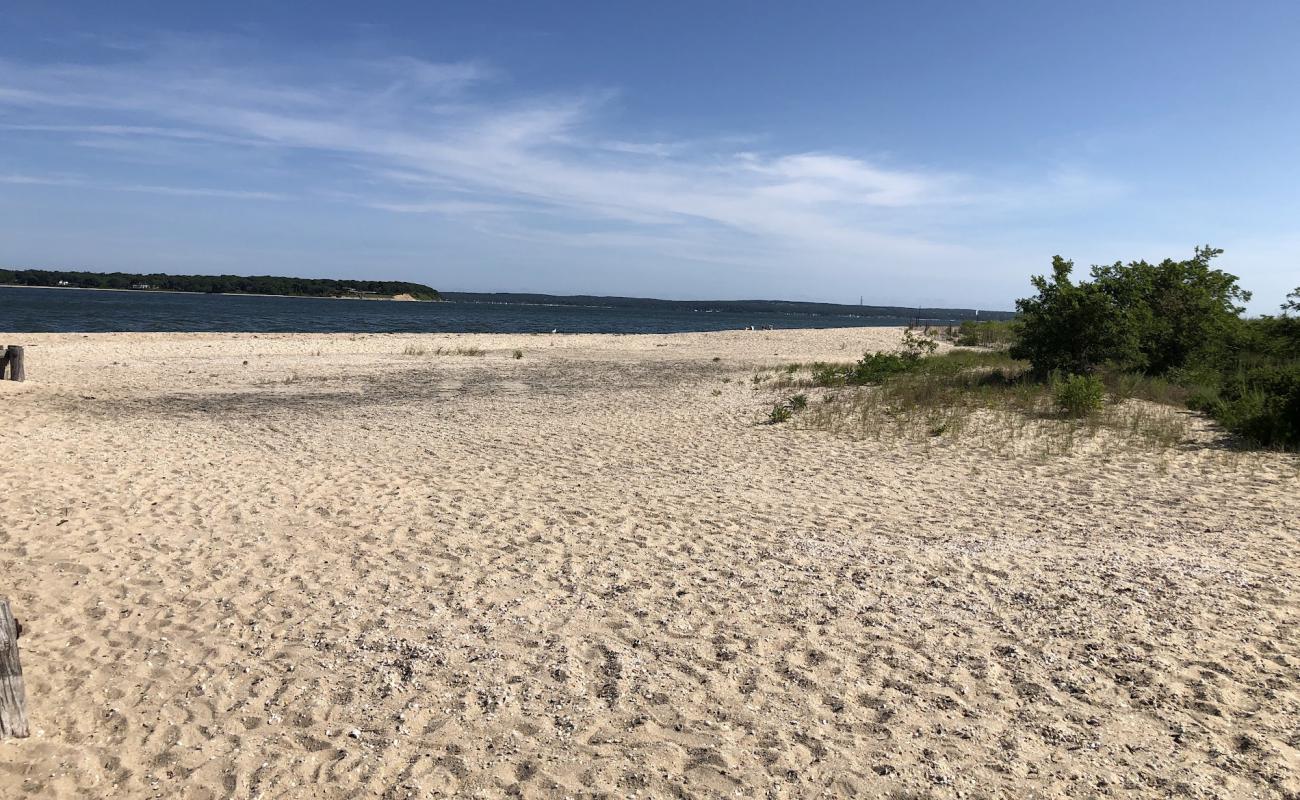 Shell Beach'in fotoğrafı çakıl ile kum yüzey ile