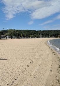 Oyster Bay