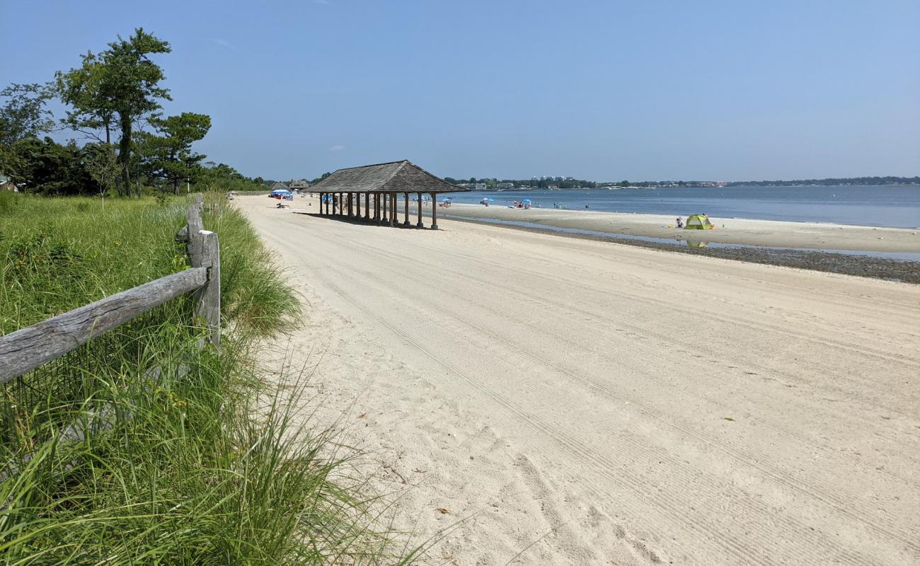 Greenwich Point Beach'in fotoğrafı açık bej kum yüzey ile