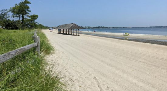 Greenwich Point Beach