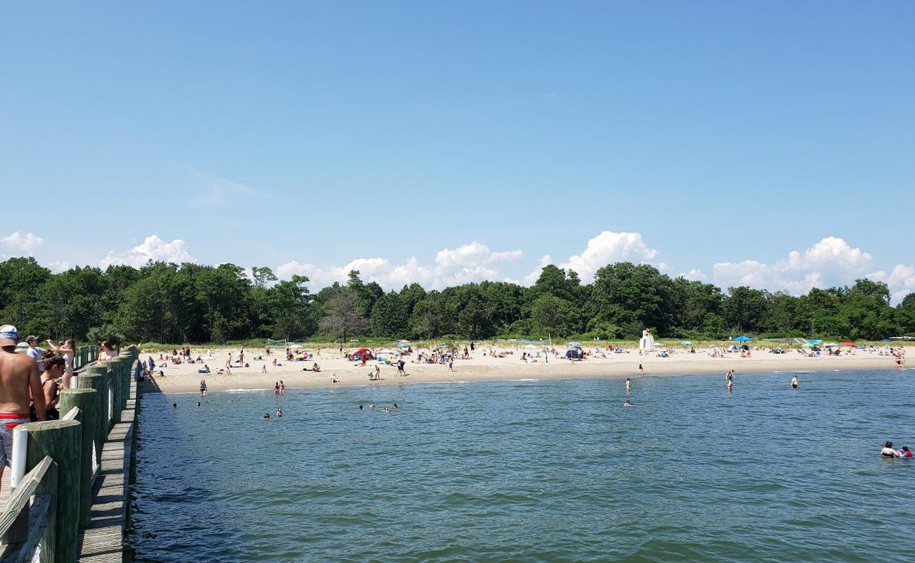 Walnut Beach'in fotoğrafı açık bej kum yüzey ile