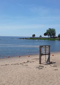 Pine Orchard