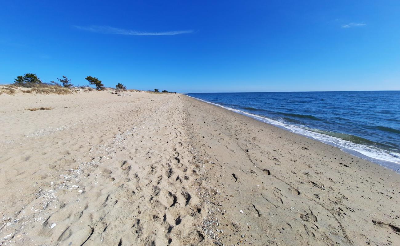 Hammonasset Beach'in fotoğrafı açık bej kum yüzey ile