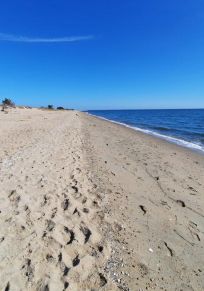 Seaview Beach