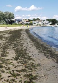 Groton Long Point