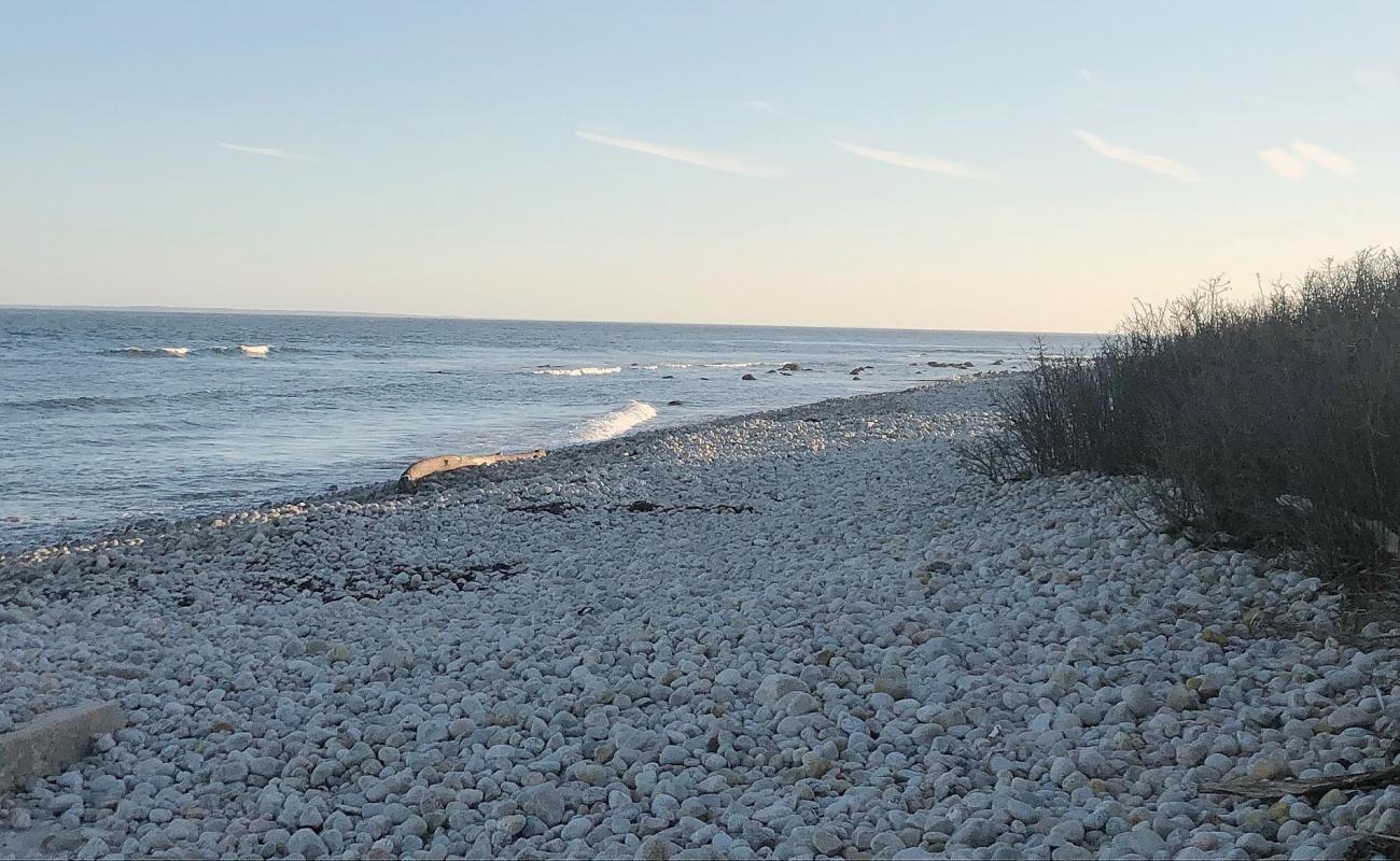 Isabella Beach'in fotoğrafı hafif çakıl yüzey ile