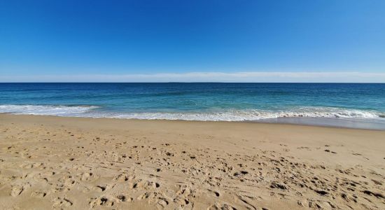 Blue Shutters Beach