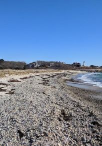 Woods Hole