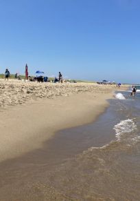 Martha's Vineyard Adası