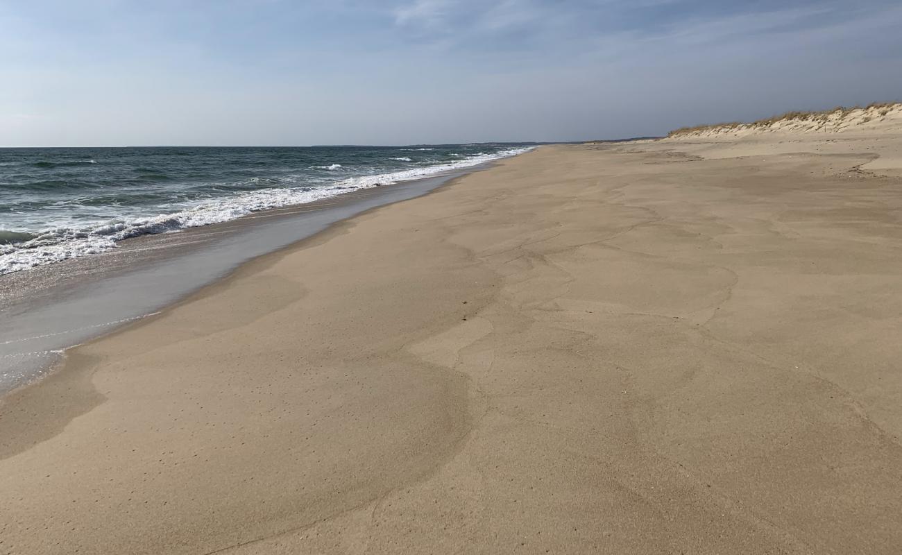 Long Point Beach'in fotoğrafı parlak kum yüzey ile