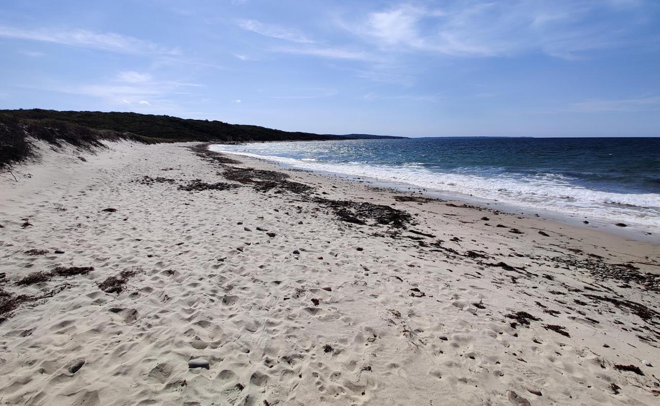 North Shore Beach'in fotoğrafı açık bej kum yüzey ile